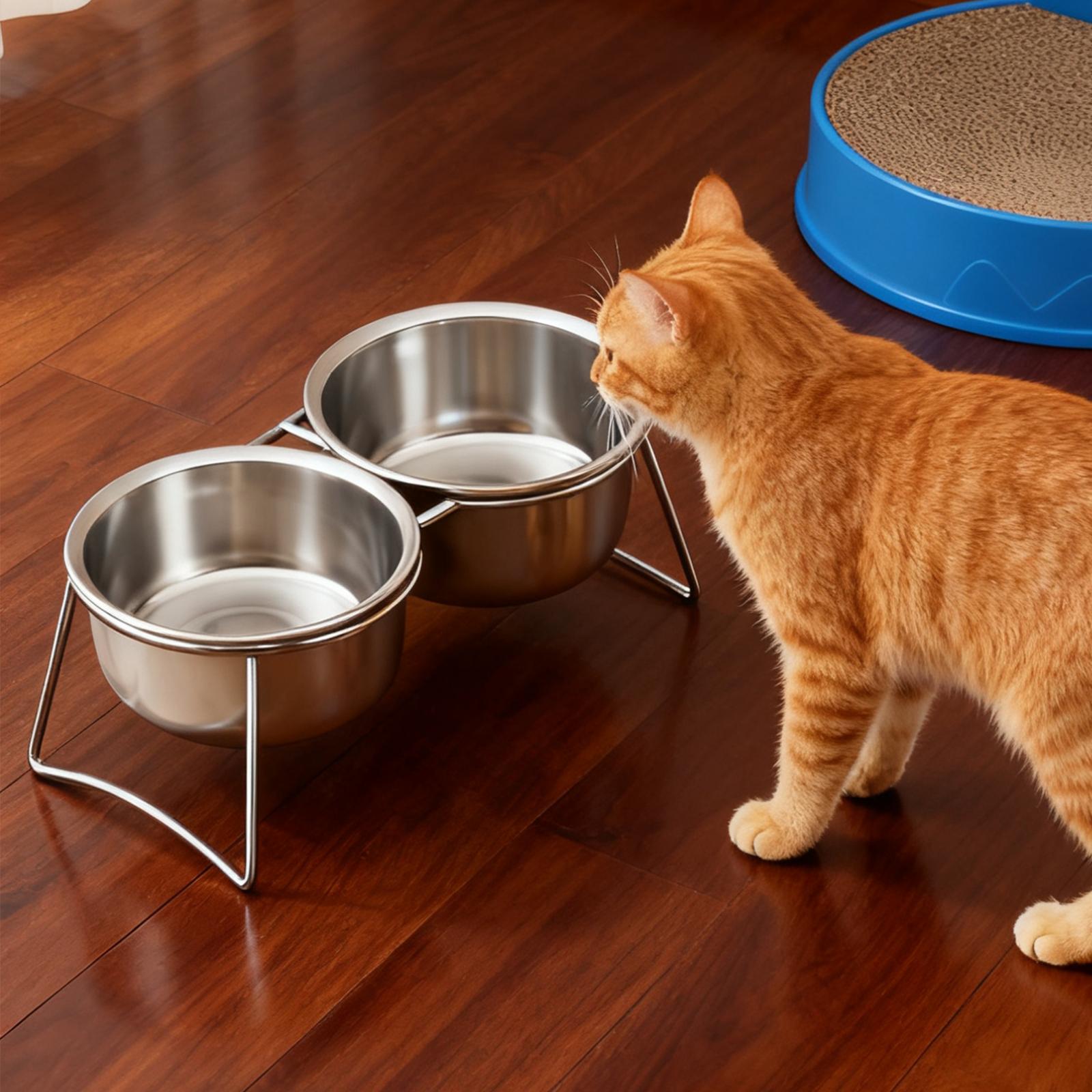 Pet Dish Raised Dog Bowl Elevated Feeding Stand Stainless Steel Material for Dogs Cats