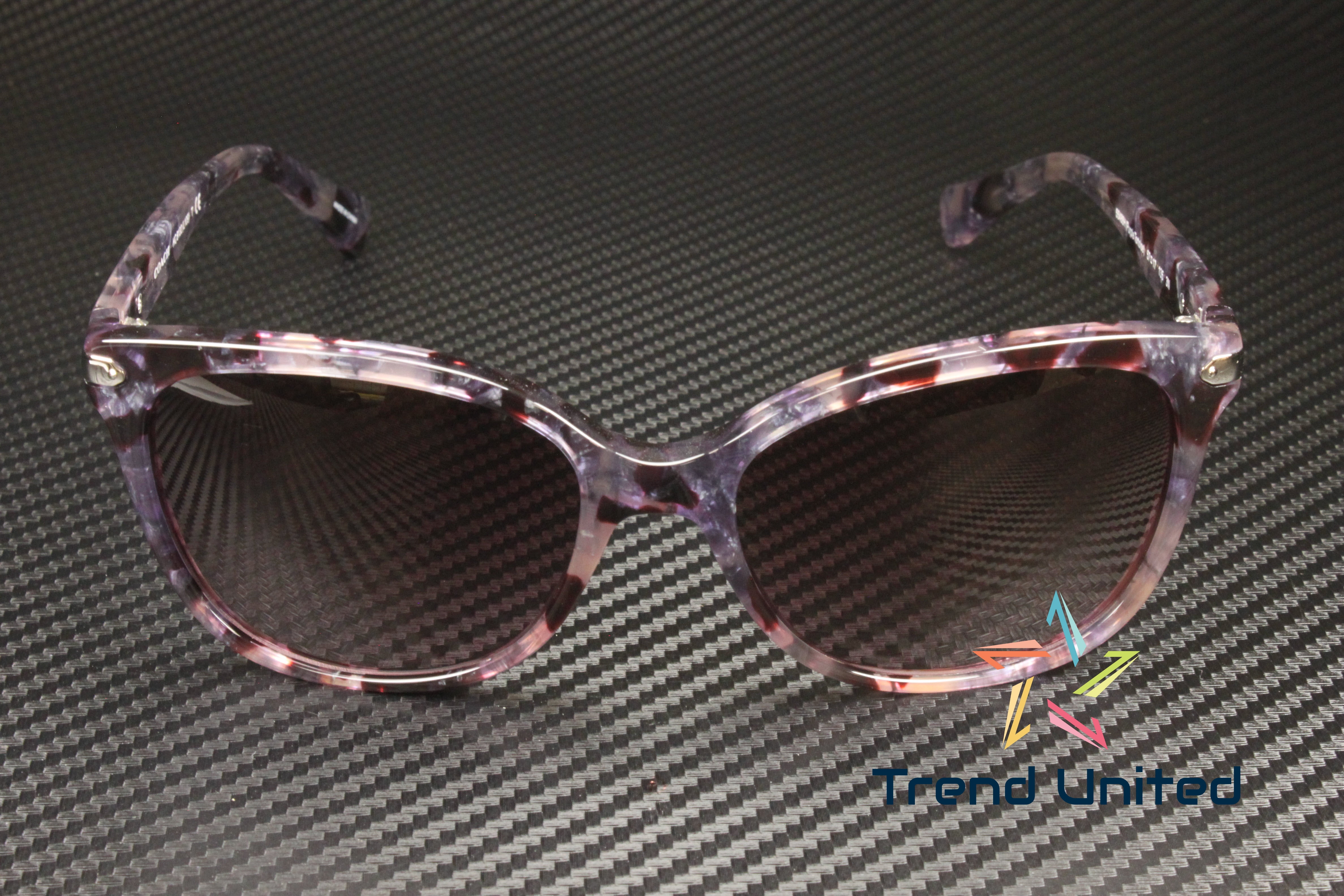 Coach L109 HC8132 Sunglasses