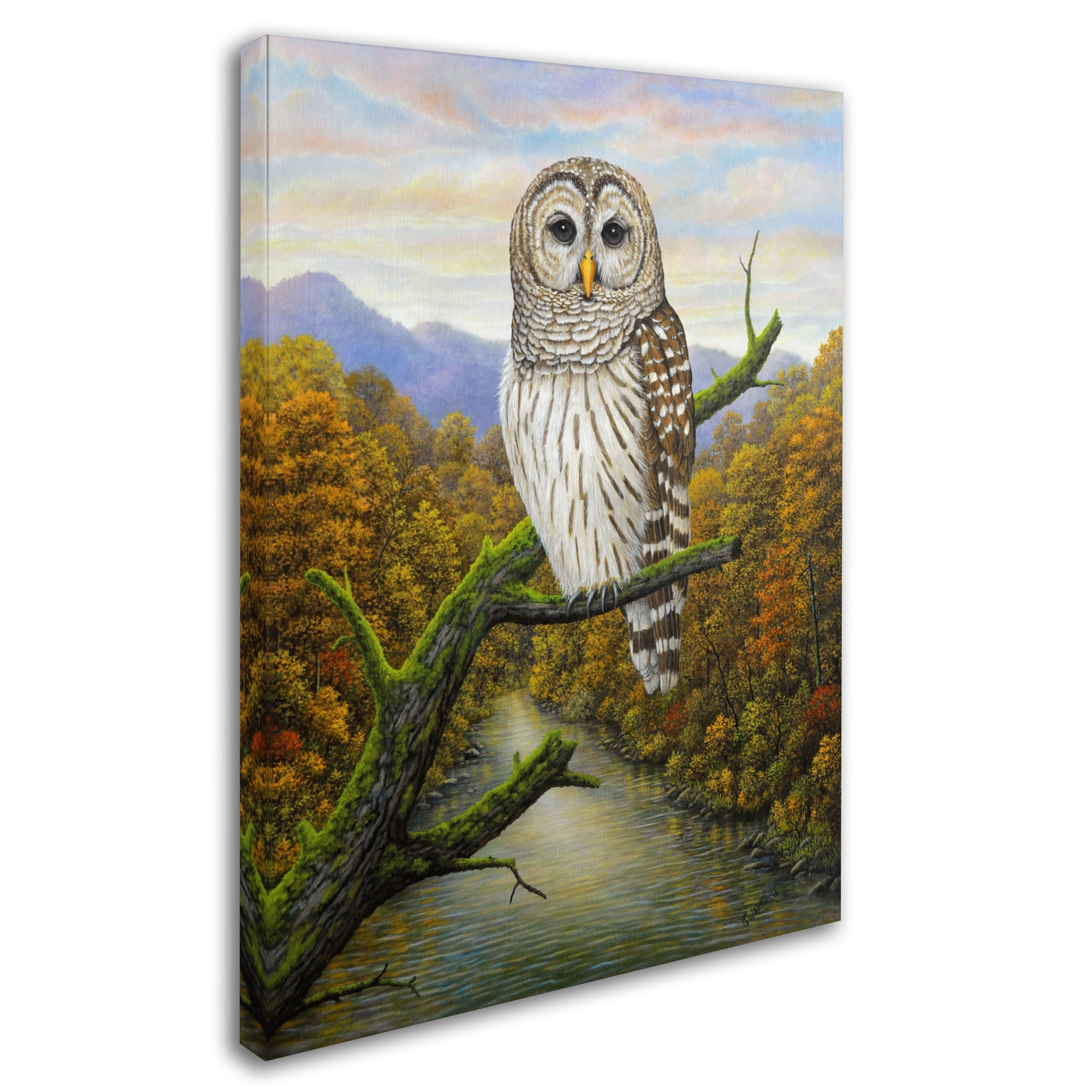Trademark Fine Art 'Barred Owl' Canvas Art by Robert Wavra