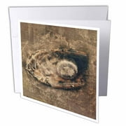 3dRose, A grunge abstract vintage baseball glove with a baseball, 1 Greeting Card with envelope