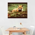 thumbnail image 2 of Nawypu  Sleeping Fox Kit Peaceful Forest Floor Lush Nature Canvas Wall Art, Design By Carrie Ann Grippo-Pike 20x16 inch, 2 of 4