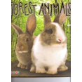 thumbnail image 3 of Children's Fun & Educational 4 Pack Paperback Book Bundle (Ages 3-5): Newbridge Smart Science Desert Mini-Unit Grades 2-5 NEP-07707 FREE Poster Inside, Forest Animals, READING 2007 LISTEN TO ME READER, 3 of 5