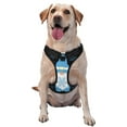 thumbnail image 1 of Fotbe Christmas Gnome Snowflake Arnés para Perro con Estampado –Chaleco Ajustable Acolchado con Asa de Control para Perros Grandes-X-Large, 1 of 6