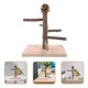 thumbnail image 5 of Percha para pájaros, soporte de mesa para pájaros, percha de entrenamiento para loros, periquitos, cotorras, 5 of 7