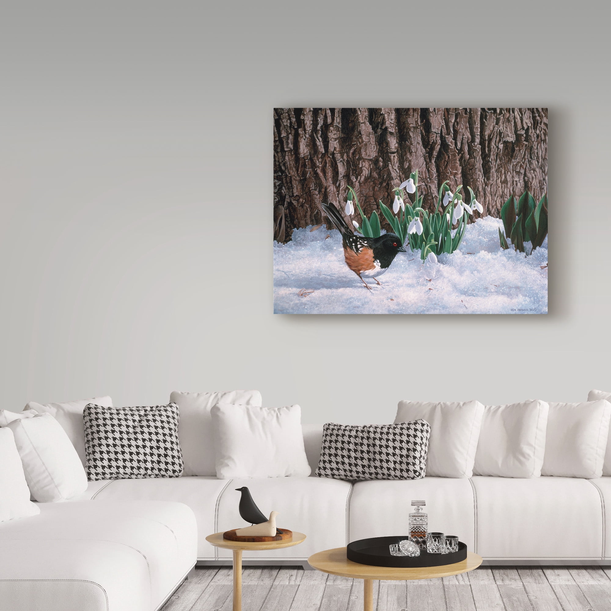 Trademark Fine Art 'Snowdrops' Canvas Art by Ron Parker