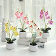 thumbnail image 2 of pitrice Artificial Plant Decorative Replacement Solid Color Simulation Culture Ornament Replacing Lightweight Realistic Home Hotel Office Photography Fake Potting Pink, 2 of 9