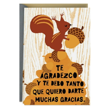 Hallmark VIDA Spanish-Language Thank You Card (I Owe You so Much)