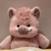 Pink Wild Boar