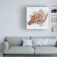 thumbnail image 3 of Ethan Harper 'Coral Display II' Canvas Art, 3 of 3