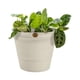 thumbnail image 1 of Kit 3 Macetas para Interiores y Exteriores 13 Litros, 1 of 4
