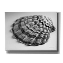 Epic Graffiti 'Scallop 3' by Debra Van Swearingen, Canvas Wall Art, 54"x40"
