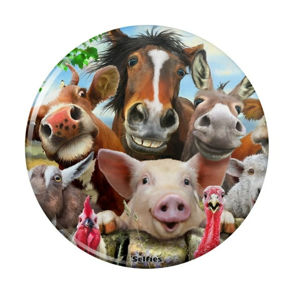 Farm Selfie Horse Pig Chicken Donkey Cow Sheep Kitchen Refrigerator Locker Button Magnet