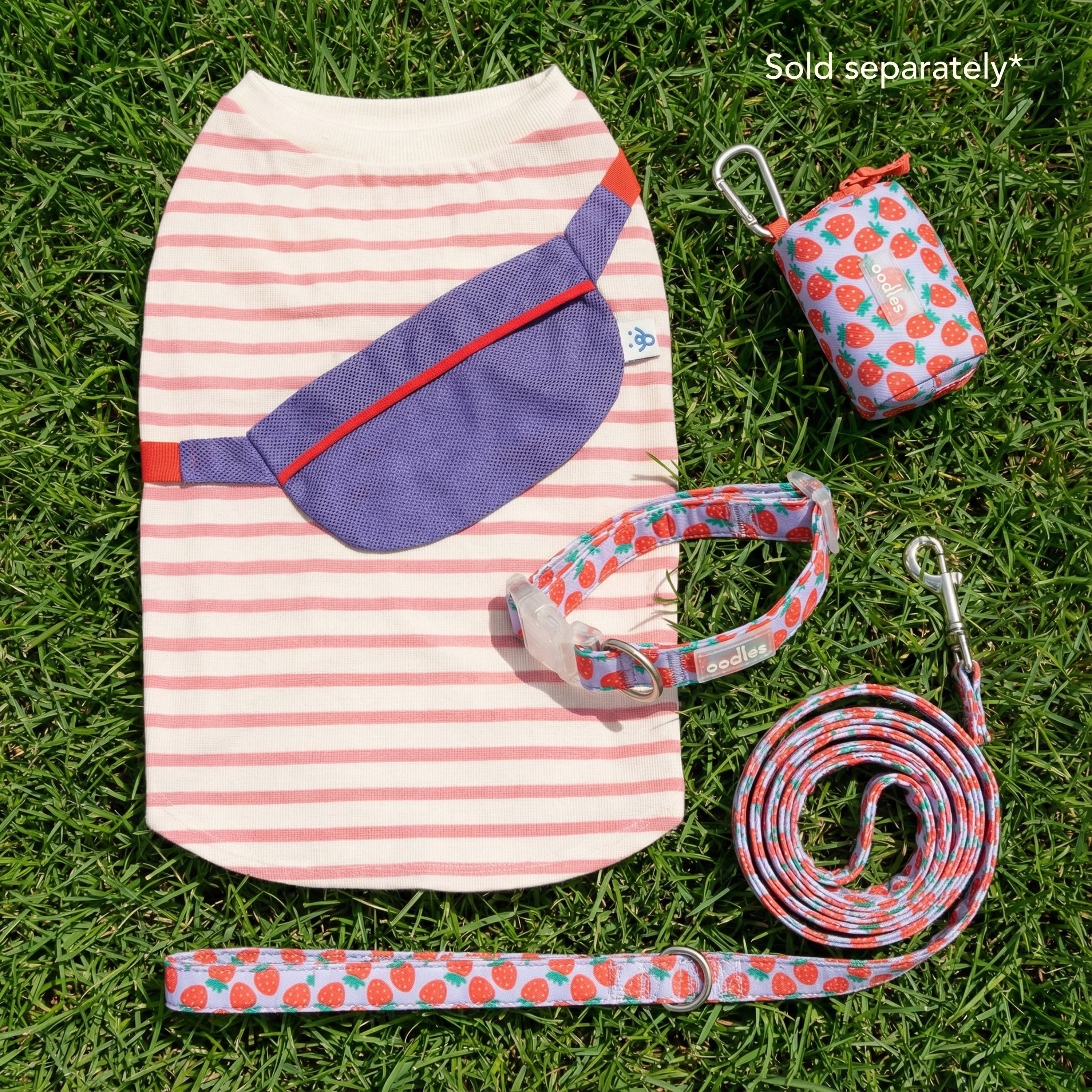 Oodles Purple Strawberry Print Dog Walking 3 Piece Set, Small