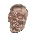 thumbnail image 4 of Mahli Modern Scent Skull Aromatherapy Diffuser, 4 of 5