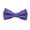 Palm Tree Purple - Woven Silk, variant on Solid Color Kids Bow Tie - Light Green, Woven Silk, Pre-Tied Kids Bow Tie