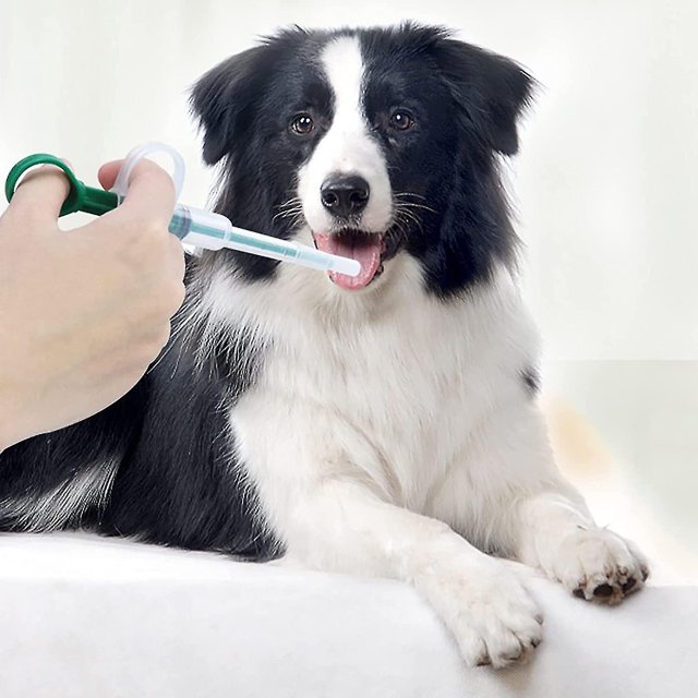3 uds dispensador de fluidos pastillero alimentador para gatos perros peque?os