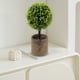 thumbnail image 4 of Artificial Green Plants Simulation Potted Home Office Hotel Lobby Decoration Green Plants Home Decoration Artificial Plants, 4 of 6
