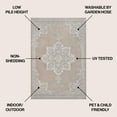 thumbnail image 3 of JONATHAN Y SANTA MONICA 3 x 5 Area Rug, Arden Vintage Medallion - Beige/Cream, SMB300B-3, 3 of 6