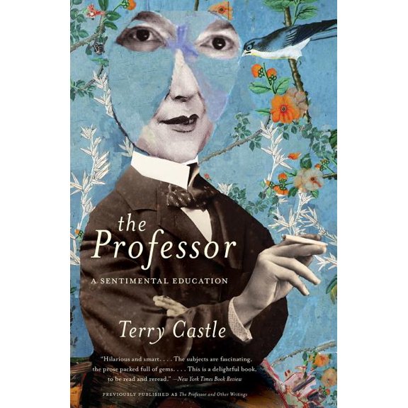 The Professor: A Sentimental Education, (Paperback)