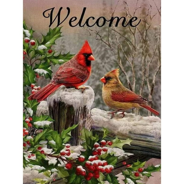 Pintura de Diamante 5D Wdftyju DIY Navidad Nieve Cardenal 30x40cm