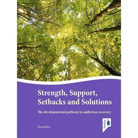 Strength, Support, Setbacks and Solutions : The developmental pathway to addiction recovery (Paperback)