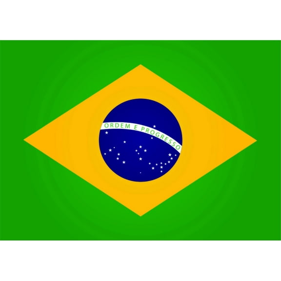 Wall Decal Brazil Flag Living Funny Interesting Odd Saying Quote Humorous Amusing Comic Witty Entertaiining Whinsical Holiday Gift Decorating Ideas Sticker - Size: 8 Inches X 12 Inches