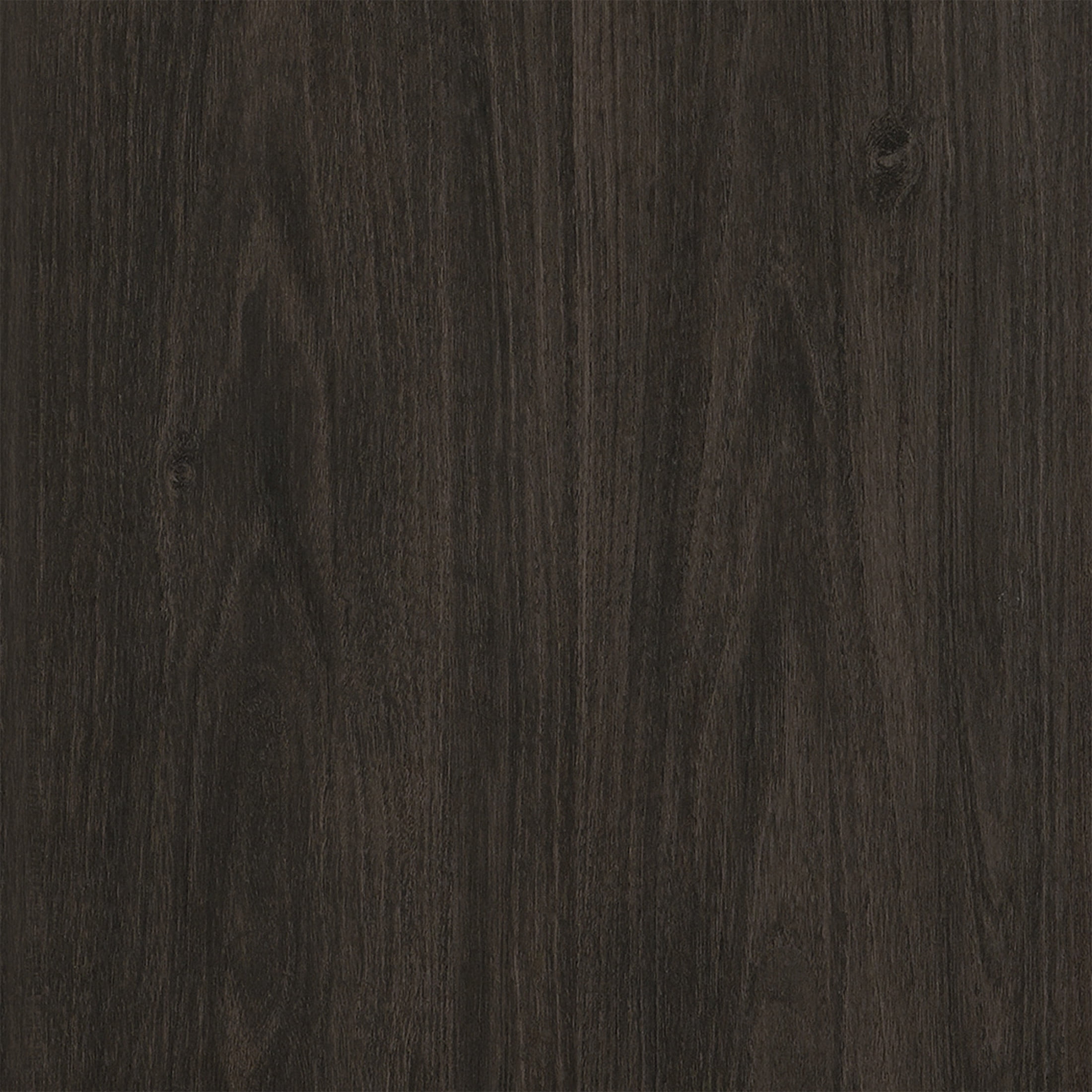 Evelyn&Zoe Modern/Contemporary 47" Wide Alder Brown Coffee Table