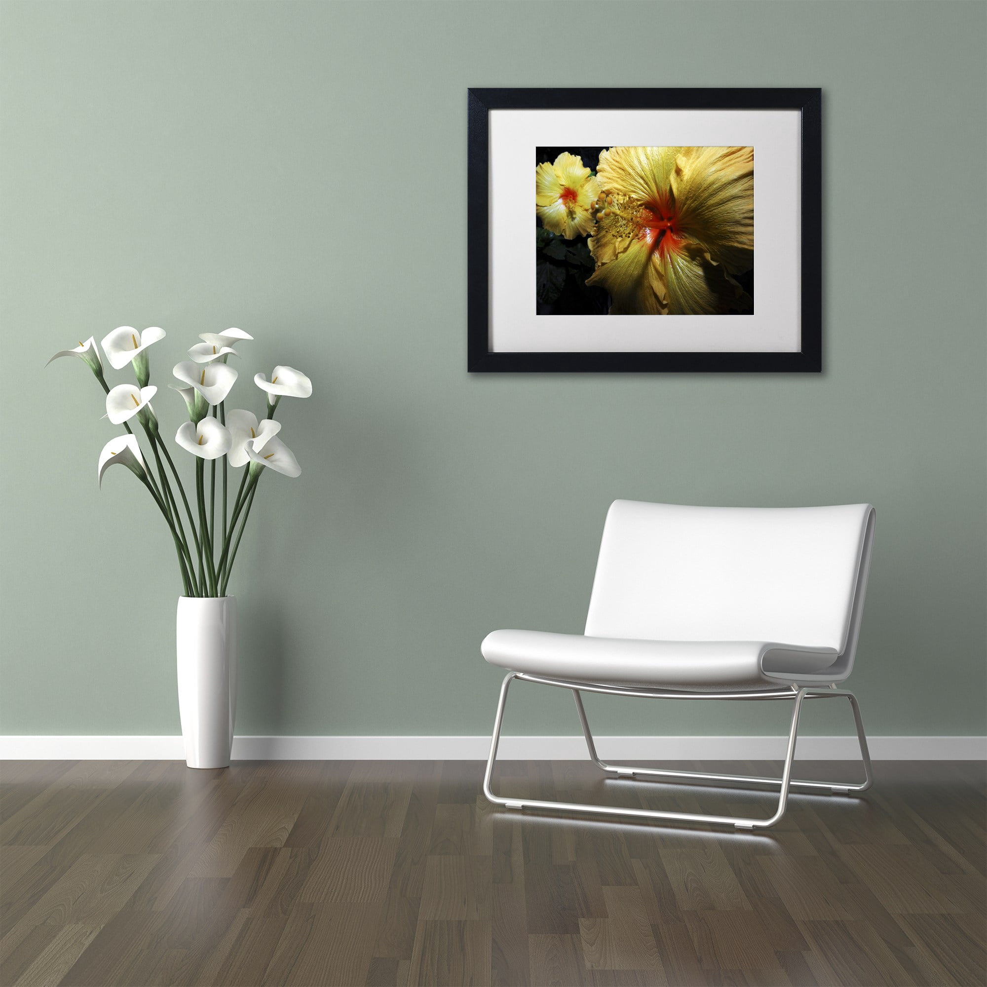 Trademark Fine Art "Sunburst Hibiscus" Canvas Art by Kurt Shaffer White Mat, Black Frame