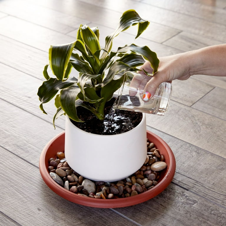 3 Pack 8 Inch Plastic Self Watering Flower Plant Pot Garden Potted Planter, Clay Color 3 Pack 8 Inch Plastic Self Watering Flower Plant Pot Garden Potted Planter, Clay Color