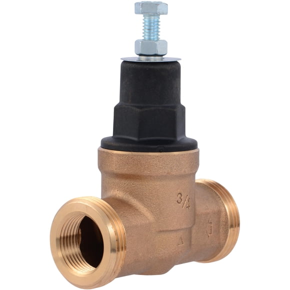Cash Acme EB45 Soupape de Régulation de Pression, Filetage NPT 3/4 Pouce, Dessus en Poly, 60 PSI, PVA16P-DTH-60