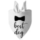 thumbnail image 5 of Babero ajustable promocionado a perro blanco triángulo bandana bufanda de algodón reversible para pañuelos pequeños y medianos bufandas mascotas - 28 x 11, 5 of 5