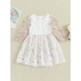 thumbnail image 2 of Bagilaanoe Little Girl Fall Dress Flower Embroidery Long Puff Sleeve A-line Princess Dresses 3T 4T 5T 6T 7T Toddler Kid Patchwork Tulle Skirt, 2 of 8