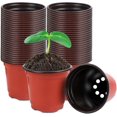 thumbnail image 1 of 50 Eco-Friendly Seed Starter Pots - Ideal for Succulents & Seedlings in Gardens, 1 of 4