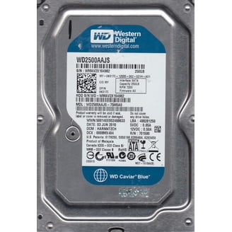Western Digital 10TB WD Blue PC Desktop SATA HDD, 3.5