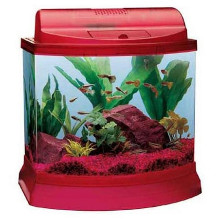 Mini Bow 5-Gallon Aquarium Kit