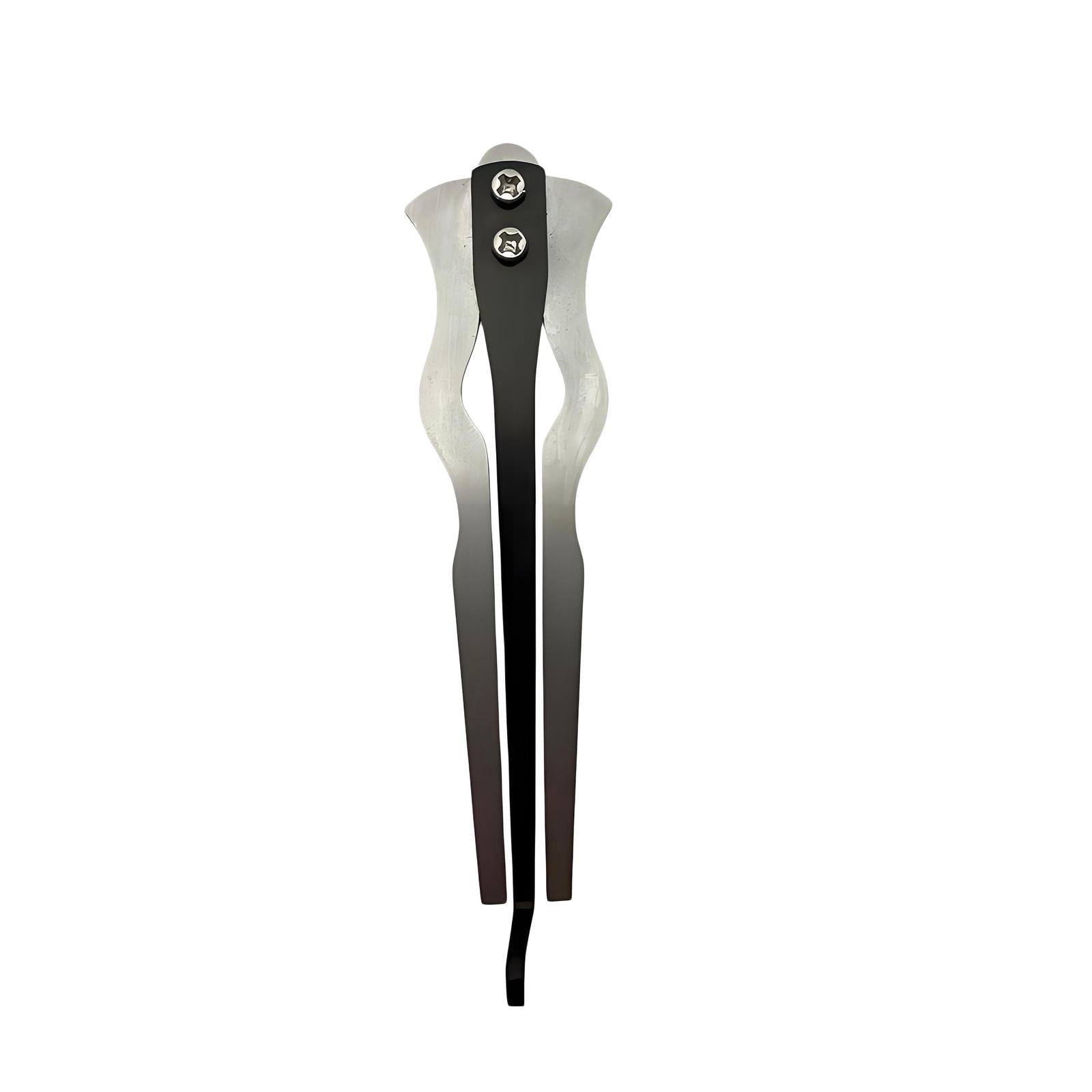 MERIGLARE Jaw Harp Altai Throat Singing Instrument Easy to Play Ethnic Gift Creative Maultrommel Musical Instrument for Adults Children 2.8x10cm