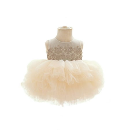 

Baby girl mesh puffy dress