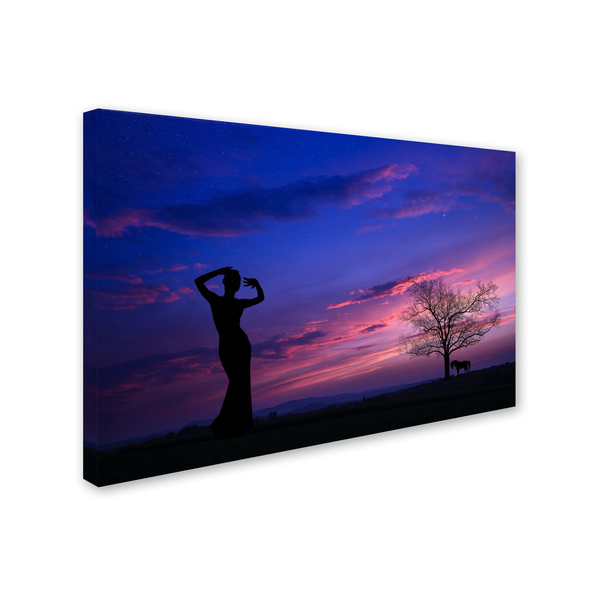 Trademark Fine Art "Dance for Me" Canvas Art by Philippe Sainte-Laudy