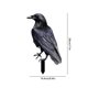 thumbnail image 3 of Estaca De Cuervo Negro Para Jardín, Decoración De Halloween Para Jardín, Fiesta, Árbol De Navidad Al Aire Libre, Accesorio De Exhibición Con Temática Espeluznante, 30x15cm (1 Unidad) Rkxzt, 3 of 9