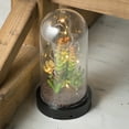 thumbnail image 2 of Sullivans Artificial Succulent in Plastic Globe with Lights 9"H, Green, 2 of 4