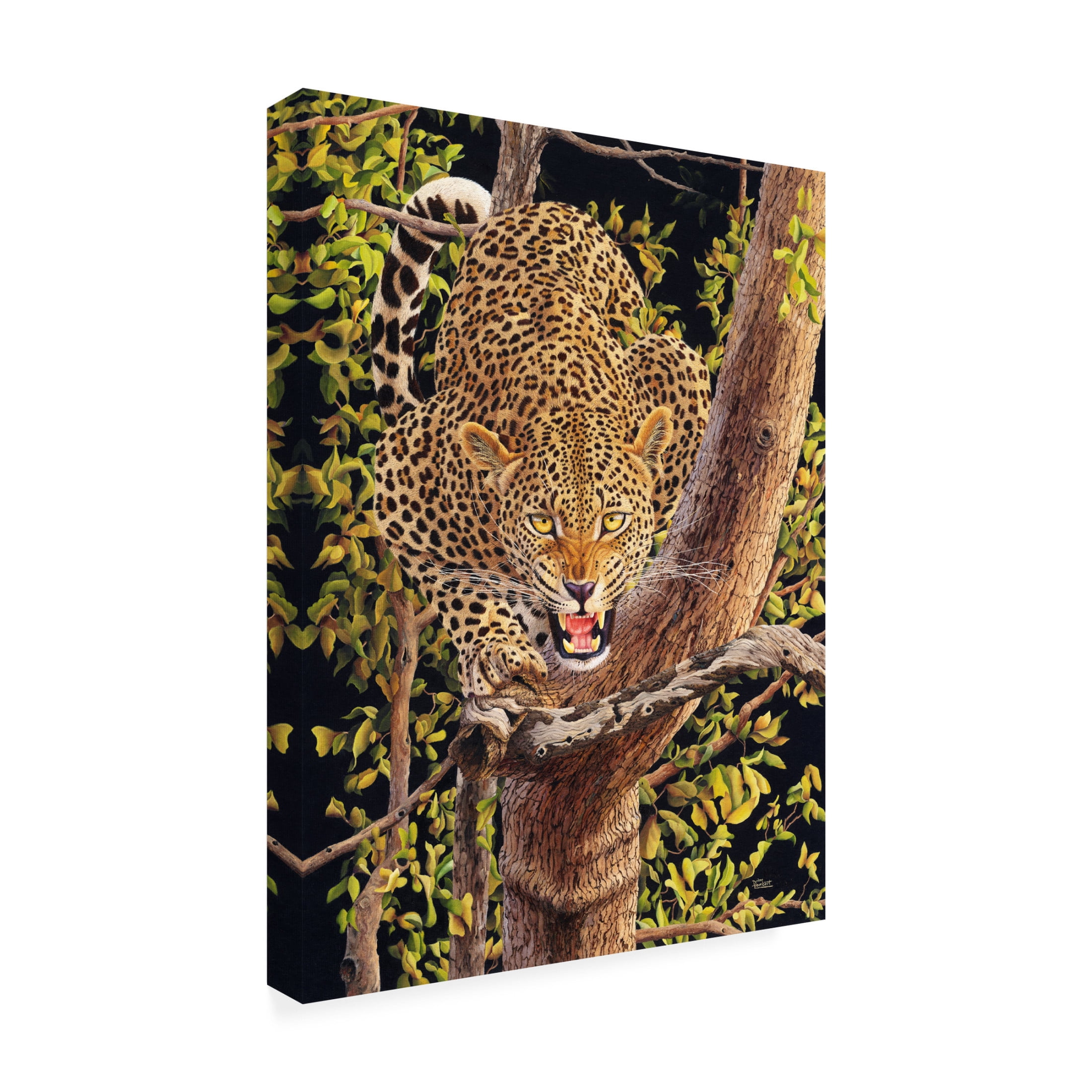 Canvas Wall Art - Delene Lambert 'Leopard in Tree' Wall Art for Living Room, Bedroom, or Office Décor by Trademark Fine Art - 24 x 32 Inches