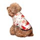 thumbnail image 5 of Balery Cute Mushroom Sudadera con Capucha para Perros Pequeños – Ropa para Mascotas, Disfraz para Perros y Gatos, Ideal para Fiestas y Cosplay-XX-Large, 5 of 7