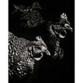 thumbnail image 3 of Chapman, Julie T. 20x24 Black Modern Framed Museum Art Print Titled - Scratchboard Skeptics, 3 of 5