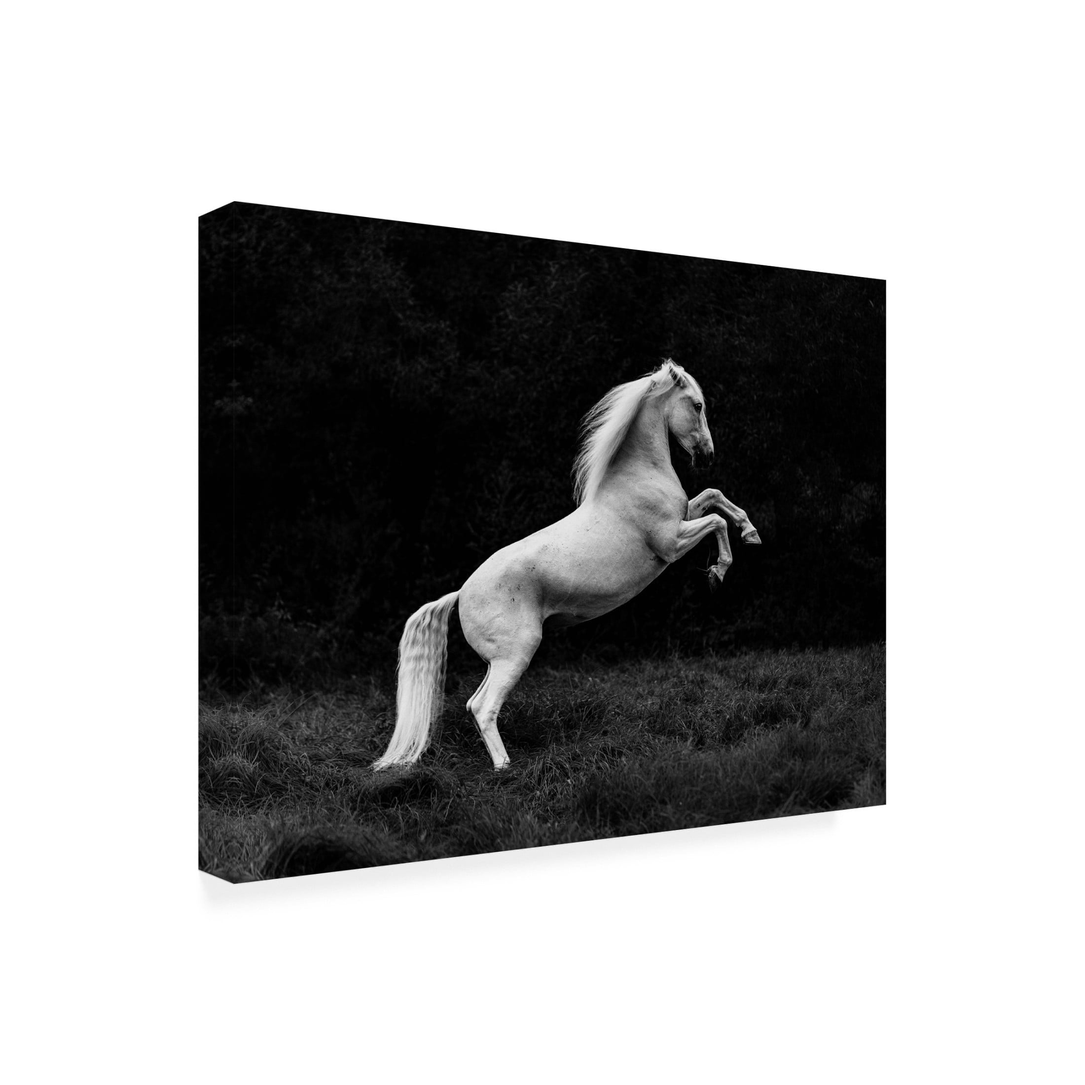 Trademark Fine Art Cembrzynski Ignacy a short story of a blade of grass in a hoof Canvas Wall Art