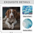 thumbnail image 3 of Diamond Art Kit for Adults, Blue Eyed Dog Portrait Diamond Painting for Adults Beginners, DIY Diamond Art Painting Kits, 5D Diamond Painting Crafts for Home Decor 12x16 Frameless, 3 of 7