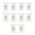 thumbnail image 1 of Parches de Protección de Prevención de Almohadilla de Adhesiva 10x para Deportivos de Tacón - 1# Macarena Blister Pad Vendas, 1 of 7