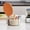 Orange, variant on TIMIFIS Paintbrush Bottle Sealed Spice Jar with Spoon Combination Four Compartments Monosodium Glutamate Jar, Household Multi-Compartment with Lid Storage Seasoning Jar Kitchen Gadgets