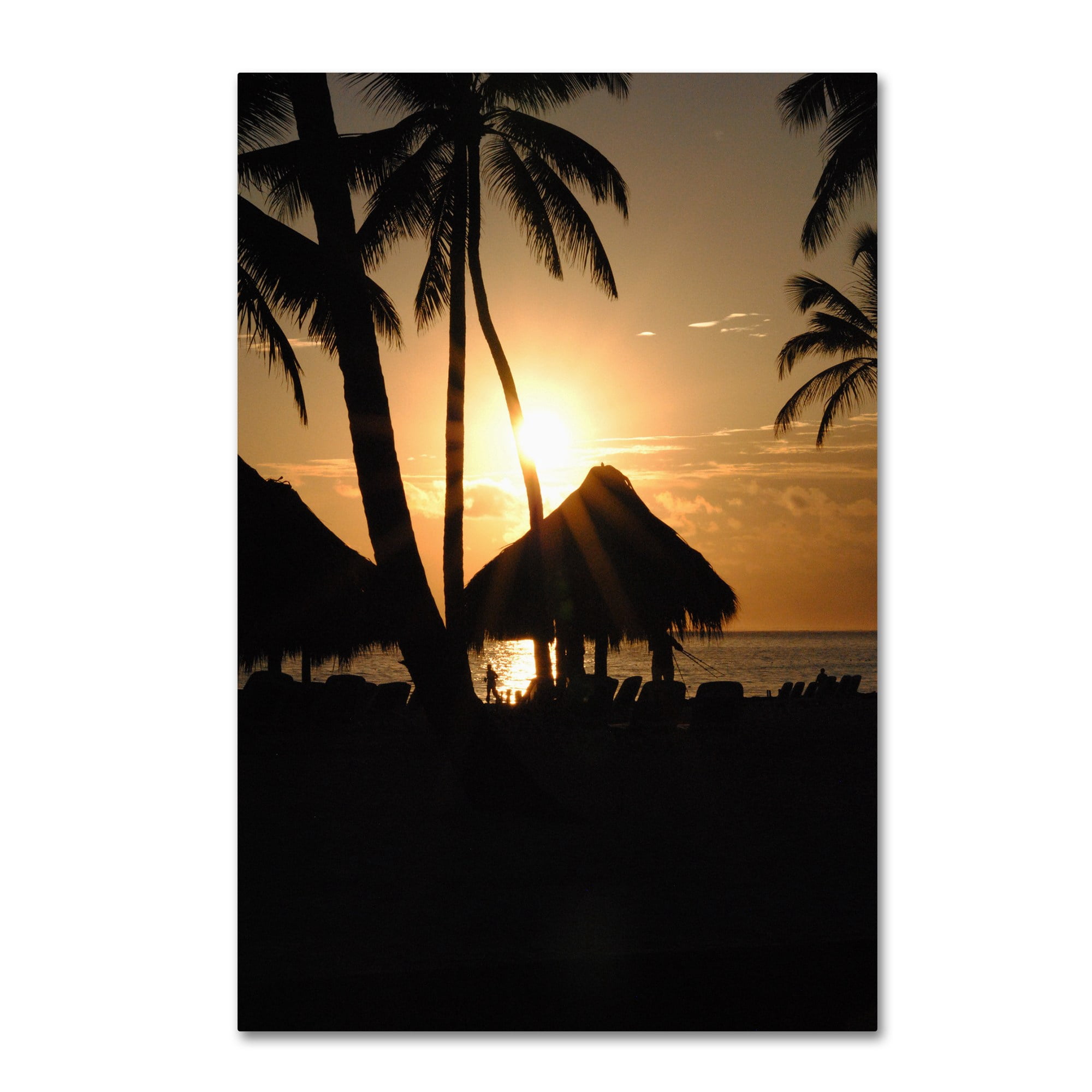 Trademark Fine Art "Majical" Canvas Art by Monica Mize