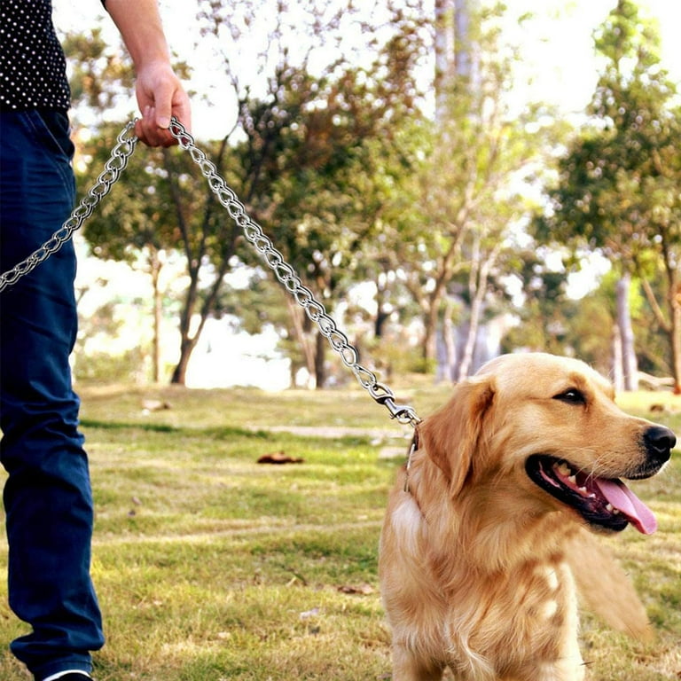 Anti chew hotsell dog leash