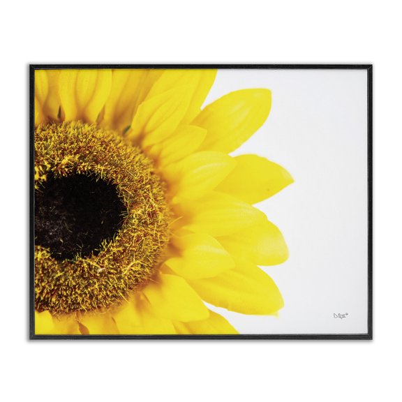 Stupell Industries Contemporary Detail of Sunflower Disk And Petals Photograph Black Framed Giclee Art, 14 x 11, by Donnie Quillen